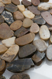 12X12 Flat Bora Wilderness | Young Interiors Flooring Center
