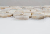 12X12 Flat Fiji Cream | Young Interiors Flooring Center