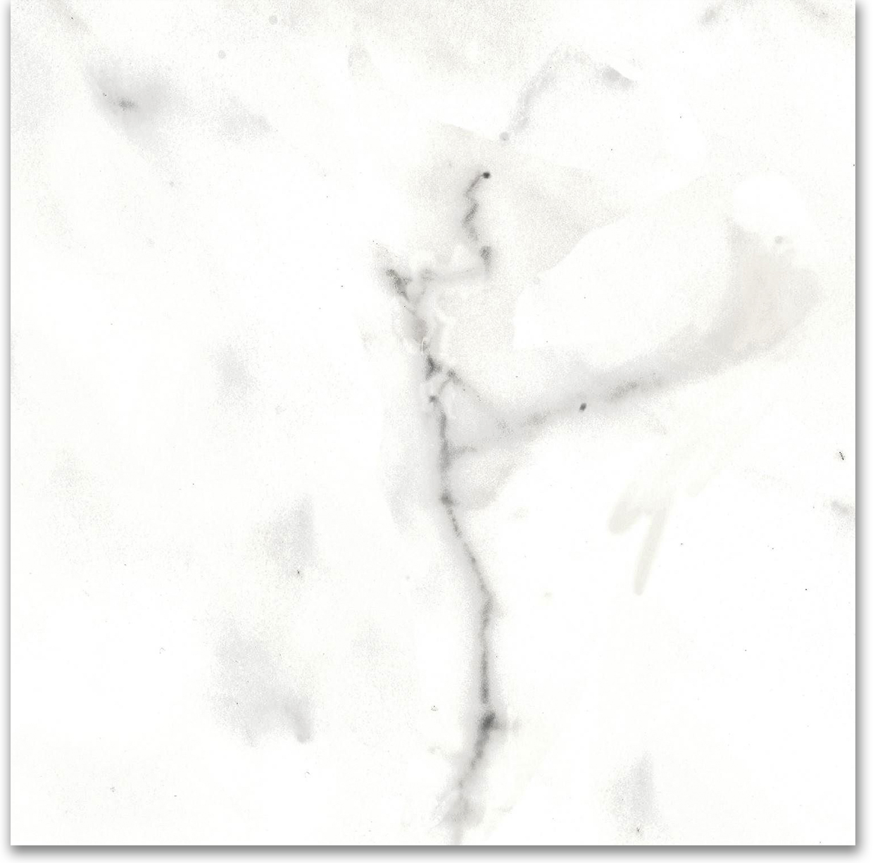 12X12F Calacatta | Young Interiors Flooring Center