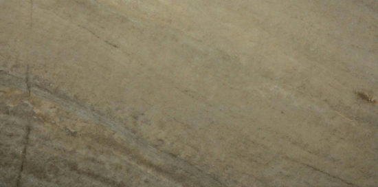 12X24 Earth | Young Interiors Flooring Center