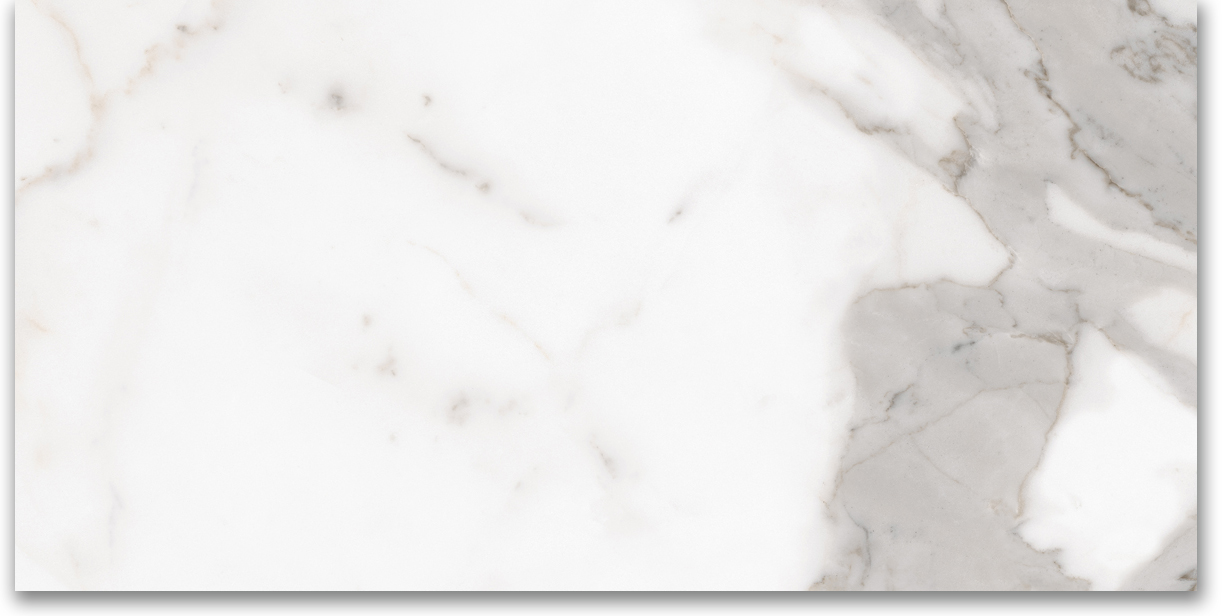 12X24 Matte Amore Grey | Young Interiors Flooring Center