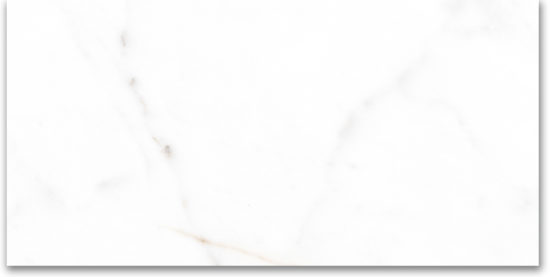 12X24 Polished Amore Grey | Young Interiors Flooring Center