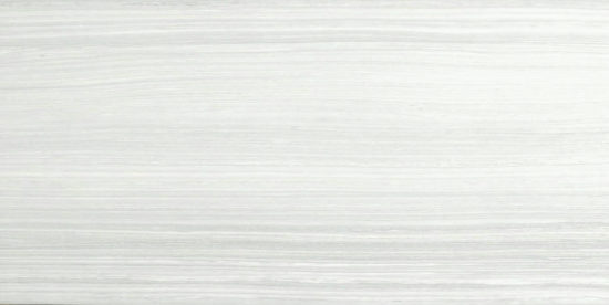 12X24F Ice Polished | Young Interiors Flooring Center