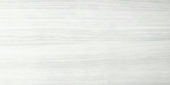 12X24F Ice | Young Interiors Flooring Center
