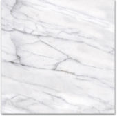 18X18F Carrara | Young Interiors Flooring Center