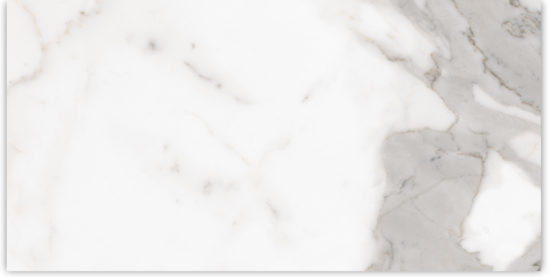 24X48 Matte Amore Grey | Young Interiors Flooring Center