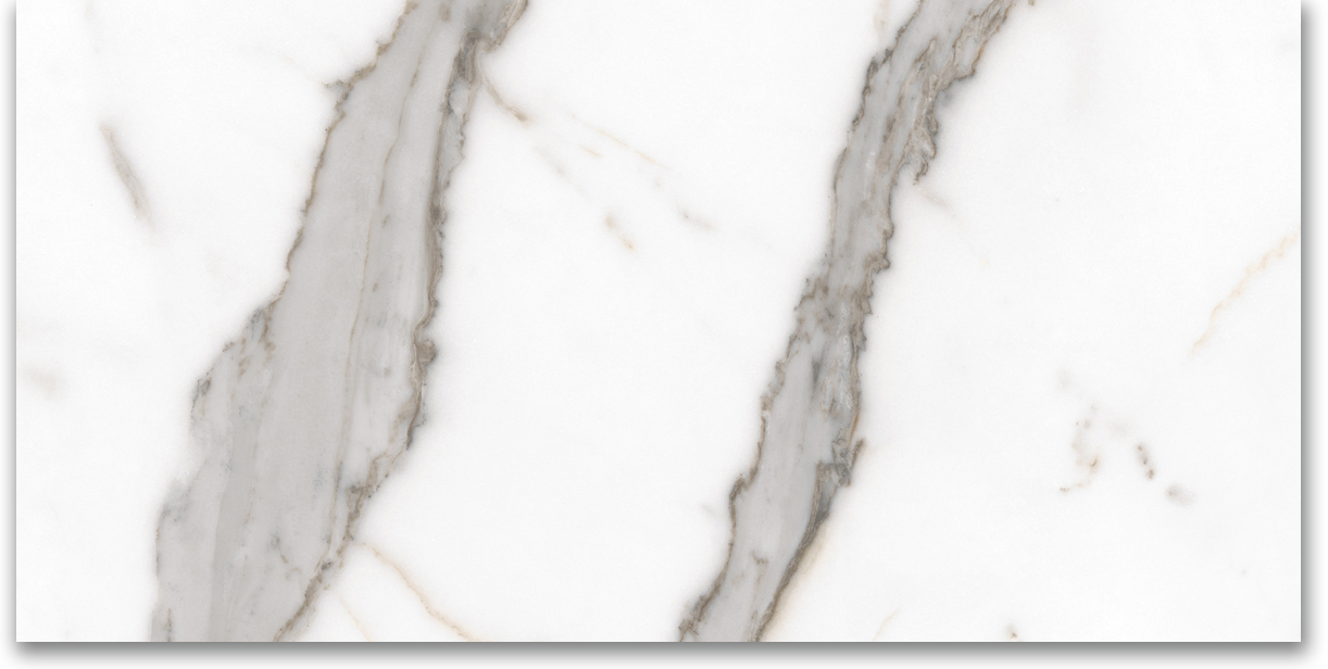 24X48 Matte Amore Grey | Young Interiors Flooring Center