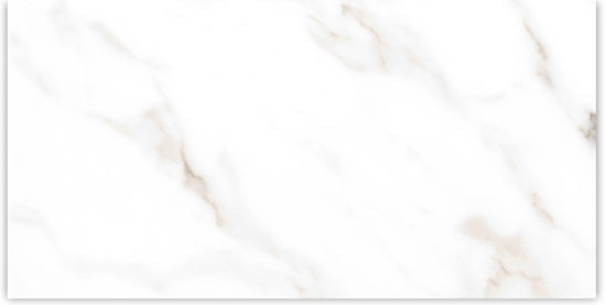 24X48 Matte Amore Grey | Young Interiors Flooring Center