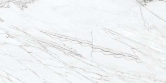 24X48 Matte Glamour White | Young Interiors Flooring Center