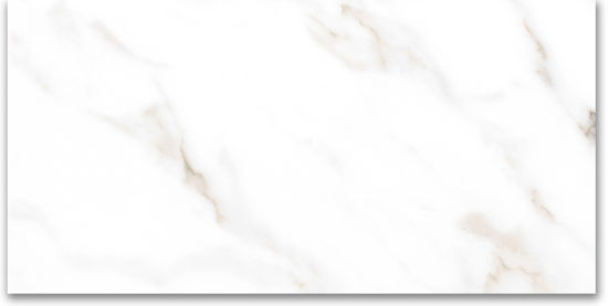 24X48 Polished Amore Grey | Young Interiors Flooring Center