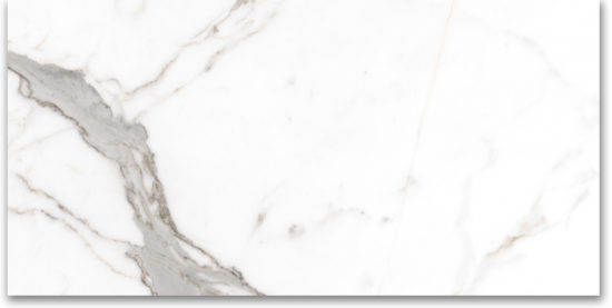 24X48 Polished Amore Grey | Young Interiors Flooring Center