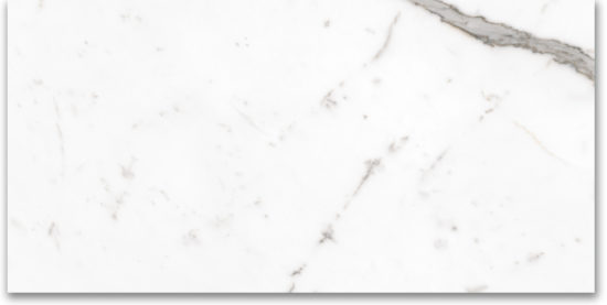 24X48 Polished Amore Grey | Young Interiors Flooring Center