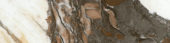 3X12 Polished Revere Red | Young Interiors Flooring Center
