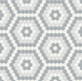 Afternoon Blend Matte Hexagon Pattern Mosaic | Young Interiors Flooring Center