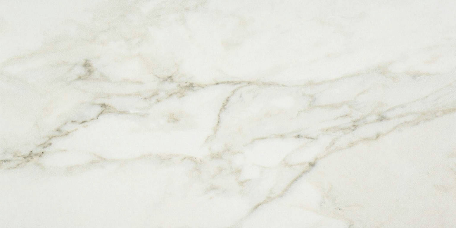Amalfi Calacatta Honed 12X24 | Young Interiors Flooring Center