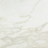Amalfi Calacatta Honed 24X24 | Young Interiors Flooring Center