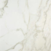 Amalfi Calacatta Honed 24X24 | Young Interiors Flooring Center