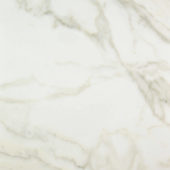 Amalfi Calacatta Honed 24X24 | Young Interiors Flooring Center