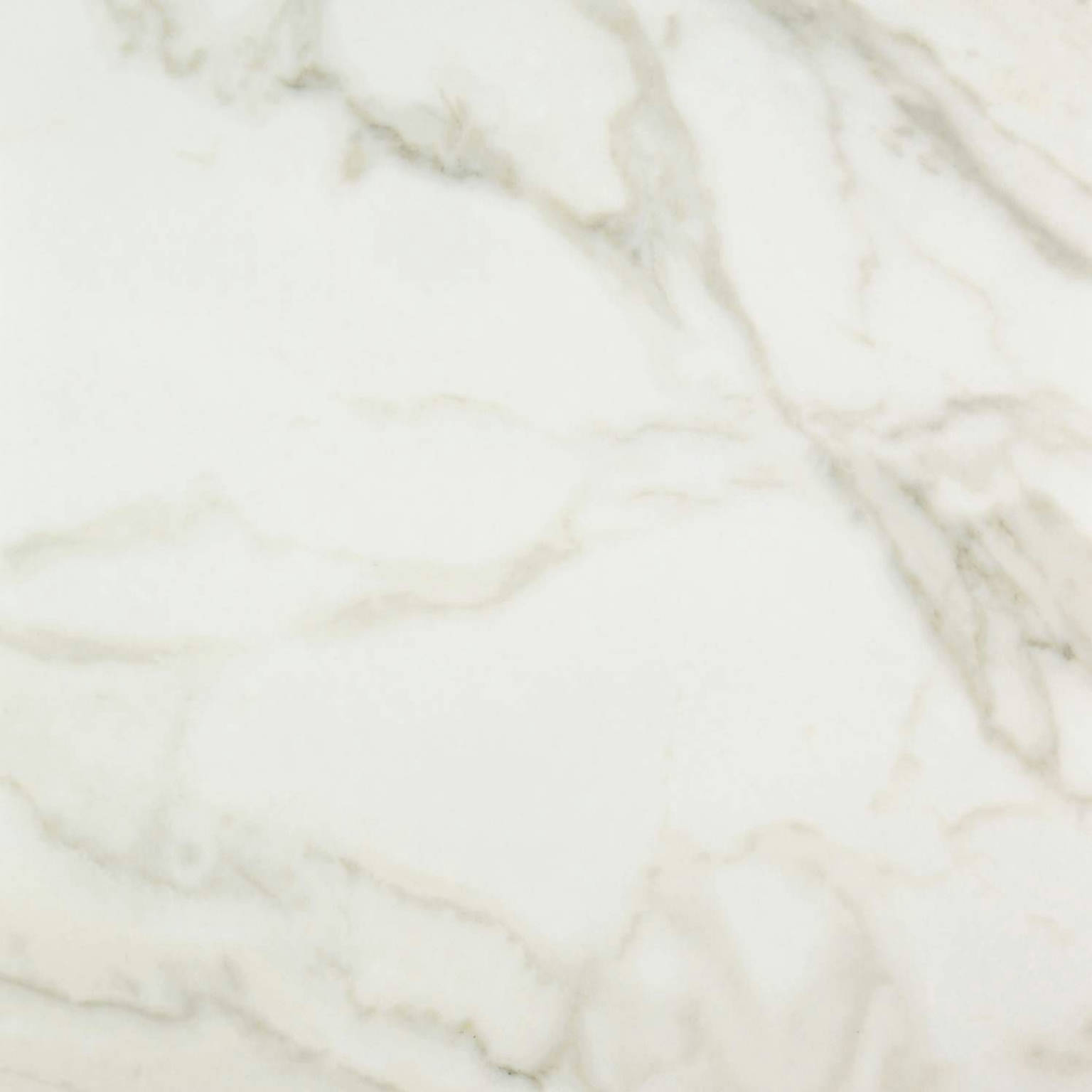 Amalfi Calacatta Honed 24X24 | Young Interiors Flooring Center