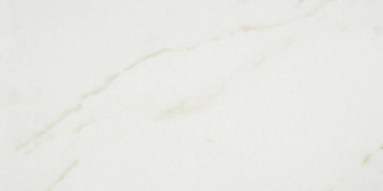 Amalfi Calacatta Honed 24X48 | Young Interiors Flooring Center