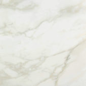Amalfi Calacatta Honed 32X32 | Young Interiors Flooring Center