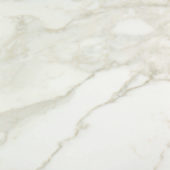 Amalfi Calacatta Honed 32X32 | Young Interiors Flooring Center