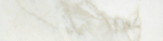 Amalfi Calacatta Honed 3X12 Bullnose | Young Interiors Flooring Center