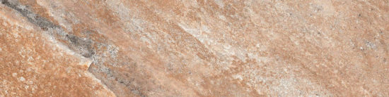 Annapurna Beige 3X12 Bullnose | Young Interiors Flooring Center