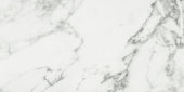 Arabescato Verona Honed 12X24 | Young Interiors Flooring Center