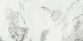 Arabescato Verona Honed 12X24 | Young Interiors Flooring Center