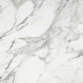 Arabescato Verona Honed 24X24 | Young Interiors Flooring Center