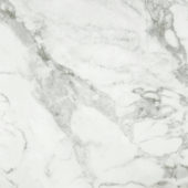 Arabescato Verona Honed 24X24 | Young Interiors Flooring Center