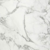 Arabescato Verona Honed 32X32 | Young Interiors Flooring Center