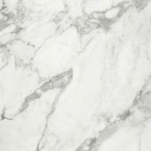 Arabescato Verona Honed 32X32 | Young Interiors Flooring Center