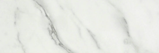 Arabescato Verona Honed 4X12 | Young Interiors Flooring Center