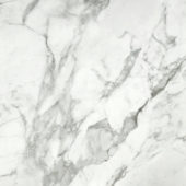 Arabescato Verona Polished 24X24 | Young Interiors Flooring Center