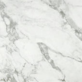 Arabescato Verona Polished 24X24 | Young Interiors Flooring Center