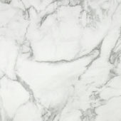 Arabescato Verona Polished 24X24 | Young Interiors Flooring Center