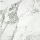 Arabescato Verona Polished 24X24 | Young Interiors Flooring Center
