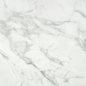 Arabescato Verona Polished 24X24 | Young Interiors Flooring Center