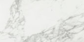 Arabescato Verona Polished 24X48 | Young Interiors Flooring Center