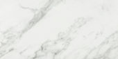 Arabescato Verona Polished 24X48 | Young Interiors Flooring Center