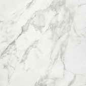 Arabescato Verona Polished 32X32 | Young Interiors Flooring Center