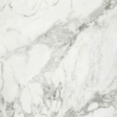 Arabescato Verona Polished 32X32 | Young Interiors Flooring Center