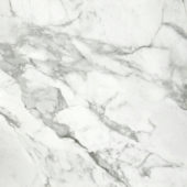 Arabescato Verona Polished 32X32 | Young Interiors Flooring Center