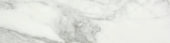 Arabescato Verona Polished 3X12 Bullnose | Young Interiors Flooring Center