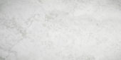 Argento 12X24 | Young Interiors Flooring Center