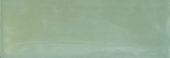 Aruba Moss Gloss 2x6 | Young Interiors Flooring Center