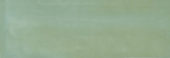 Aruba Moss Gloss 2x6 | Young Interiors Flooring Center