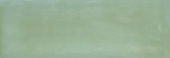 Aruba Moss Gloss 2x6 | Young Interiors Flooring Center